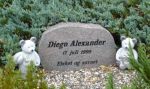 Diego Alexander.jpg